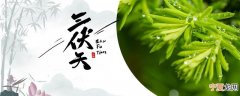 三伏天注意事项有哪些 三伏天应该吃什么养生
