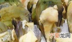 剥好的海蛎怎么保存 如何储存海蛎