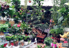 北京原来是不是叫做北平，北京花卉市场批发市场在哪里