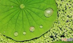 50个常被误用的成语你都知道吗