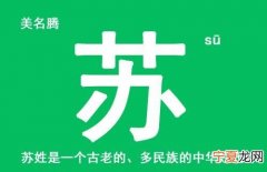 苏姓的来源，甘肃苏姓的来源和历史