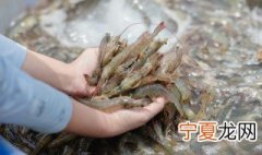 剥生虾皮方法 怎么给生虾去壳