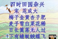 日长篱落无人过的下一句，日长篱落无人过的是什么意思