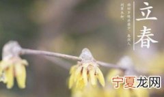 立春的诗词有哪些 关于立春的诗词有哪些