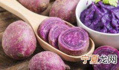 阳台种植紫薯 阳台怎么栽紫薯