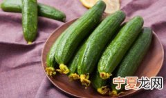 阳台黄瓜的种植方法图片 阳台黄瓜的种植方法