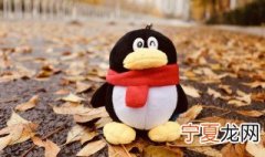 怎样在qq群里改名字 在qq群里改名字操作方法介绍