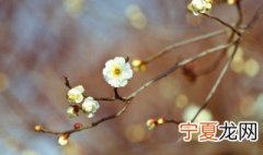立春的传说和由来 立春传说