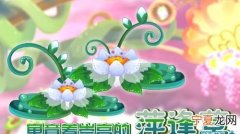 婌萍的寓意