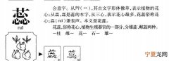 若蕊的寓意，2个字好听的网名