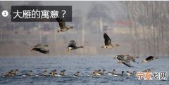 山雁的寓意，两个字的网名形容遇到合适的女孩
