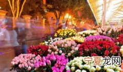 鲜花束的储存方法 关于鲜花束的储存方法
