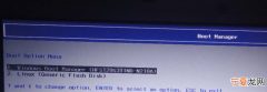 u盘启动盘无法进入引导