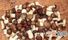 草菇怎么保存 如何保存草菇比较好