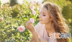2021年立春节气祝福语怎么写 2021年立春节气祝福语