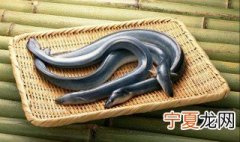 鳗鱼育苗繁殖方法 关于鳗鱼育苗繁殖方法