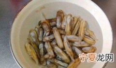 蛏子怎么保存不会死掉 蛏子保存方法介绍