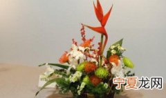 如何根据花瓶正确插花 如何插花