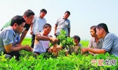 农业技术员前途如何，农业保险适合什么人群购买