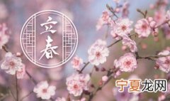 立春传统习俗 立春 风俗