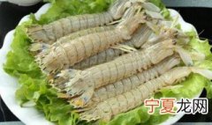 皮皮虾运输怎么保存 运输方法如下