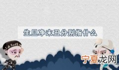生旦净末丑指的是哪些 生旦净末丑指的分别是什么