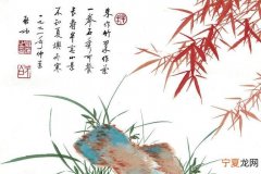书竹的寓意