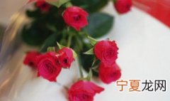 玫瑰花怎么修剪叶子 玫瑰叶子怎么剪