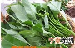 孕妇能吃空心菜吗
