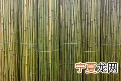 爬竹竿打一成语，竹竿长把竹竿折断再进城门是什么成语