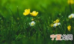 2021立春的句子 2021立春优美祝福句子