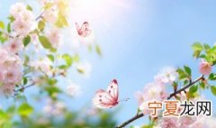 2021新年抖音最火的文案句子 2021立春到来抖音句子文案
