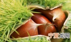 板栗剥皮后怎么保存 板栗剥皮后的保存方法简述