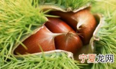 板栗煮熟了怎么保存 板栗煮熟了的保存方法简述