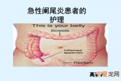 阑尾在哪边