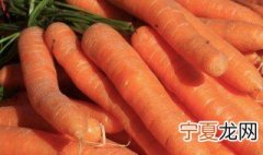 胡萝卜怎么保存 保存胡萝卜的2种方法