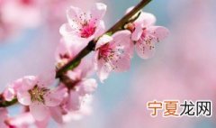 如何清洗桃花 清洗桃的方法