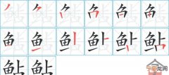 鲇怎么读