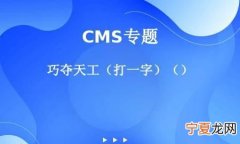 巧夺天工打一字，猜谜语1.巧夺天工 打一字斧头 打一字