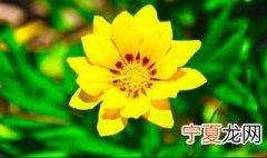 人生勇气的句子 勇敢的面对人生的句子