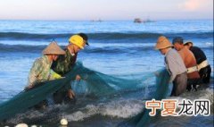 活鱼放冰箱怎么保存 保存活鱼放冰箱的方法