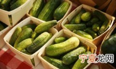 黄瓜怎么保存 保存黄瓜的方法