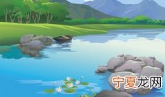 龙虱是什么东西 龙虱是什么东西有哪方面作用
