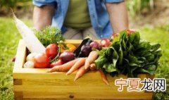 种的青菜叶子发黄是怎么回事 种的小青菜叶子发黄是怎么回事