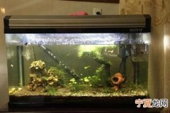 鱼缸水碱怎么去除，鱼缸里瓷块水垢怎么去除