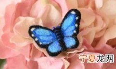 羊毛毡蝴蝶制作教程 这4个方面来分析一下