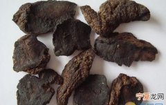 地黄的功效与作用，九芝堂桂附地黄丸的功效与作用