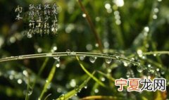 2021年雨水节气有什么含义 2021年的雨水节气