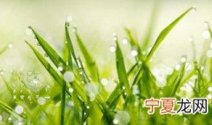 雨水文案 雨水文案诗句
