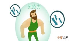 怎么提高免疫力